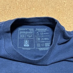 Patagonia Tシャツ　XSサイズの画像