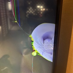 【ジャンク品】TOSHIBA REGZA 50型の画像