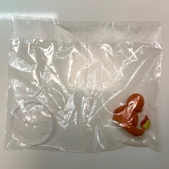 ヒトカゲフィギュア の画像