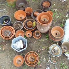 交渉中）植木鉢　丸い奴だけ残りました　欲しい方どうぞ！！の画像