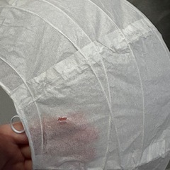 ペンダントライトルナ2の画像