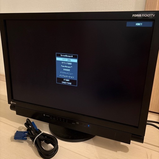 【手渡し限定】EIZO FORIS FX2431TV（24.1型液晶モニター）
