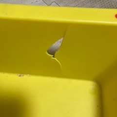 ご相談中☆無料☆おもちゃ収納ラックの画像