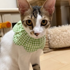 甘え方が独特な男の子😂