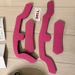 ポールフランクのヘルメットの画像