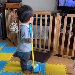 【お取引中】ベビーゲート　日本育児　おくだけドアーズL、拡張パネル×2の画像