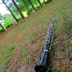 クラリネット出張レッスンの画像