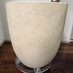 エバーフレッシュの画像