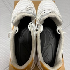 トレーニングシューズ モナルシーダネオ 25cmの画像