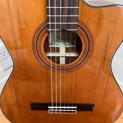 ARIAエレガットギターの画像