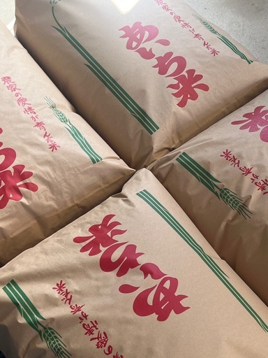 令和7年度産  あいちのかおり 玄米 15kg 農家直売