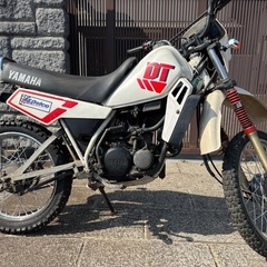 YAMAHA　DT50の画像