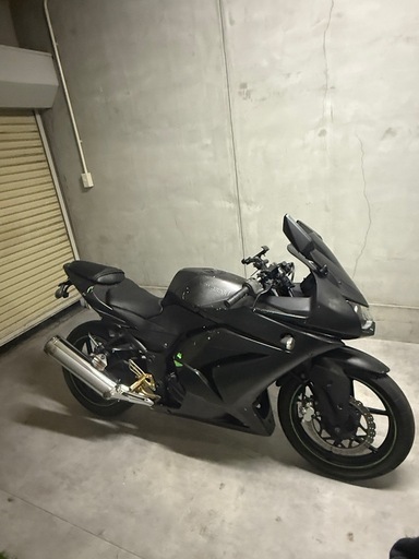 ninja250R説明必読