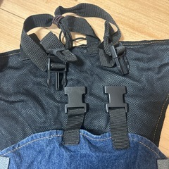 チェアベルト の画像