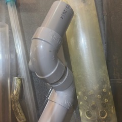 60センチ規格水槽の画像