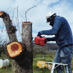 🔥高日給🔥千葉県でお仕事しませんか？の画像