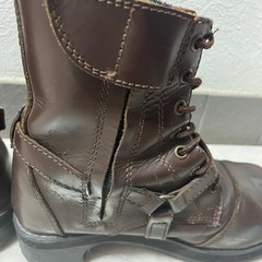 ワイルドウィング23.5cm
の画像