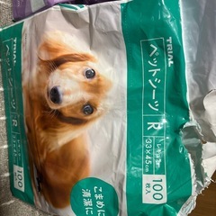 ペットシーツ(お話中)
の画像