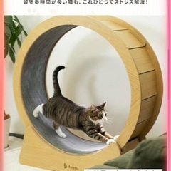 キャットホイール 木製 静音 ストッパー付き 直径80cm 室内猫用 ランニングホイール 運動不足対策 ストレス解消 猫用運動器具 キャットラン ホイール の画像