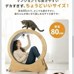 キャットホイール 木製 静音 ストッパー付き 直径80cm 室内猫用 ランニングホイール 運動不足対策 ストレス解消 猫用運動器具 キャットラン ホイール の画像