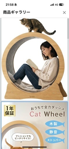 キャットホイール 木製 静音 ストッパー付き 直径80cm 室内猫用 ランニングホイール 運動不足対策 ストレス解消 猫用運動器具 キ