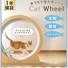 キャットホイール 木製 静音 ストッパー付き 直径80cm 室内猫用 ランニングホイール 運動不足対策 ストレス解消 猫用運動器具 キャットラン ホイール の画像