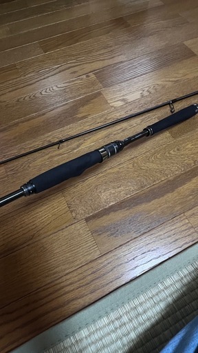 【釣竿】アブガルシア ソルティーステージプロトタイプ