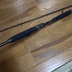 【釣竿】アブガルシア ソルティーステージプロトタイプの画像