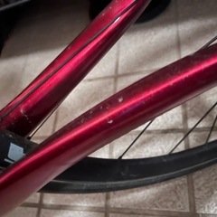 GUSUTO コブラスポーツ105カーボン2023年式の画像