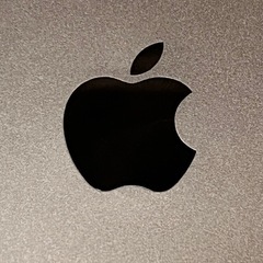 【極美品】iPad  Pro 11inch  第1世代　64GBの画像