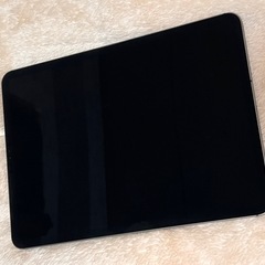 【極美品】iPad  Pro 11inch  第1世代　64GBの画像
