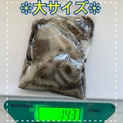 獲れたてシガヤーの画像