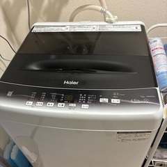 2023年製　4.5kgの画像