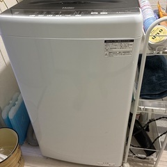 2023年製　4.5kgの画像