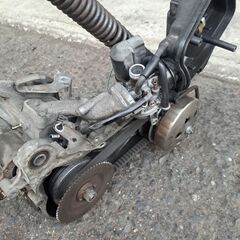 ライブDioの画像