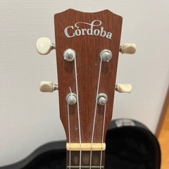 【終了】お問い合わせ多数のため受付終了。の画像