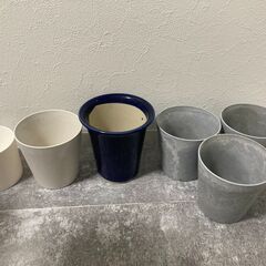 鉢植え（中サイズ）の画像