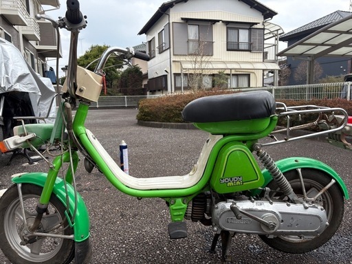 ユーディーミニ
