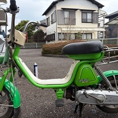 ユーディーミニの画像