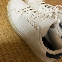 スニーカー　GAP 25cmの画像