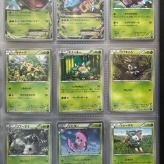 コレクションXコレクションYフシギバナEXSR以外全カードコンプリートの画像
