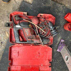 ヒルテイの画像