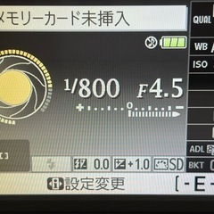 Nikon D5100とレンズ2つの画像