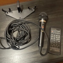 🎤レーザーカラオケ🎤の画像