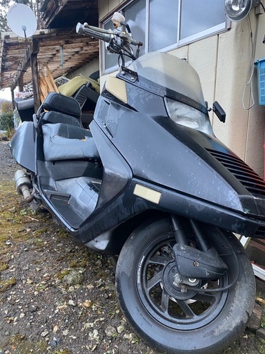 早い者勝ち！ホンダ、フュージョン250cc