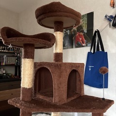 猫タワーの画像