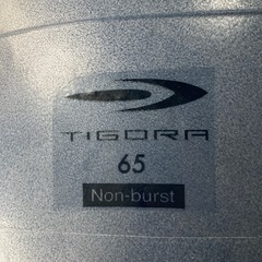 バランスボール　アルペンティゴラ　65センチの画像