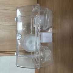 ハムスター🐹の画像