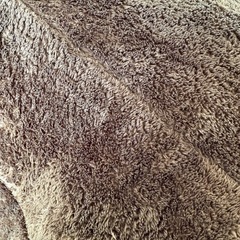 ニトリ　こたつ敷き布団の画像