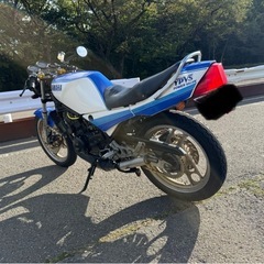 RZ250R 実働の画像